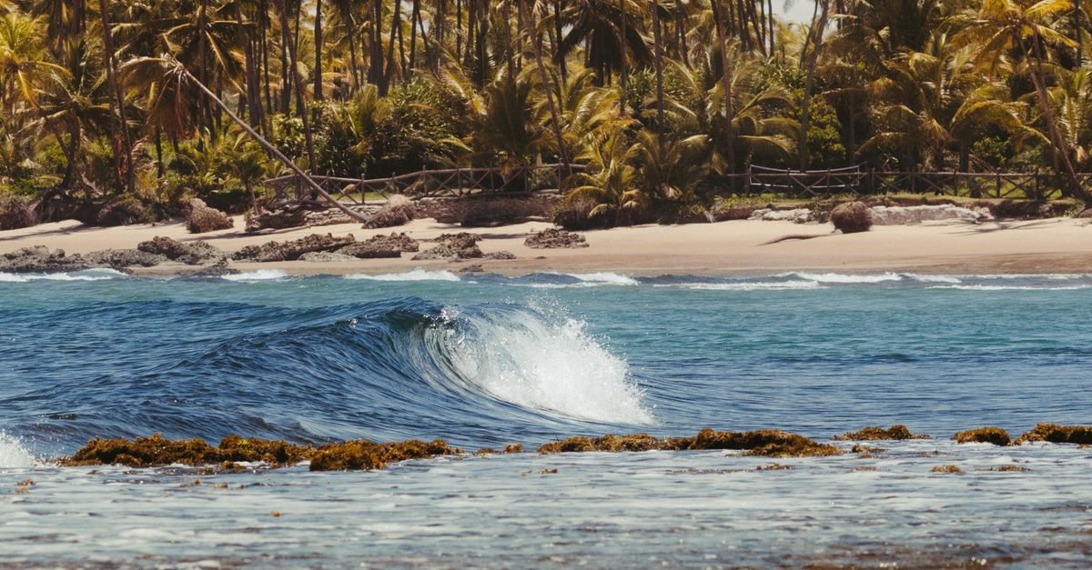 Ilha de Boipeba: Seu Roteiro Low Cost para um Feriado Inesquecível!